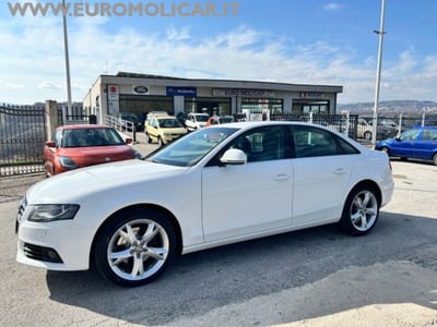 Audi A4 2.0 TDI 143CV F.AP. Advanced del 2008 usata a Busso