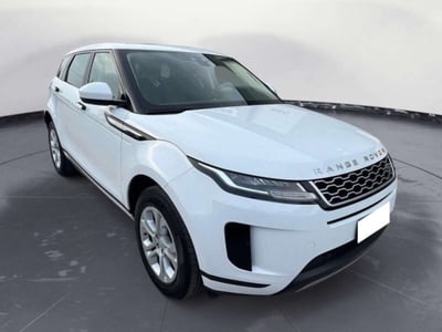 Land Rover Range Rover Evoque 2.0D I4-L.Flw 150 CV AWD Auto S del 2020 usata a Empoli