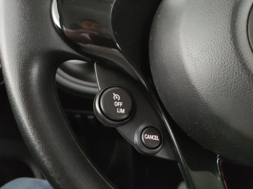 smart forfour usata a Roma (19)
