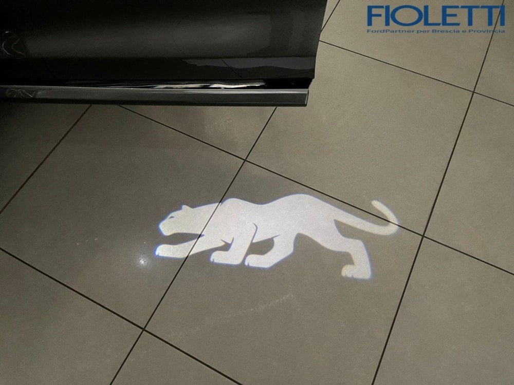 Ford Puma usata a Brescia (15)