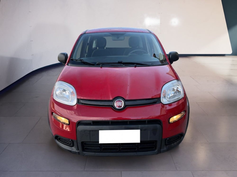 Fiat Panda usata a Torino