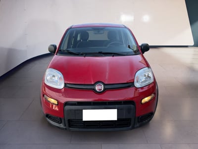 Fiat Panda 1.0 firefly hybrid s&amp;s 70cv 5p.ti del 2024 usata a Torino