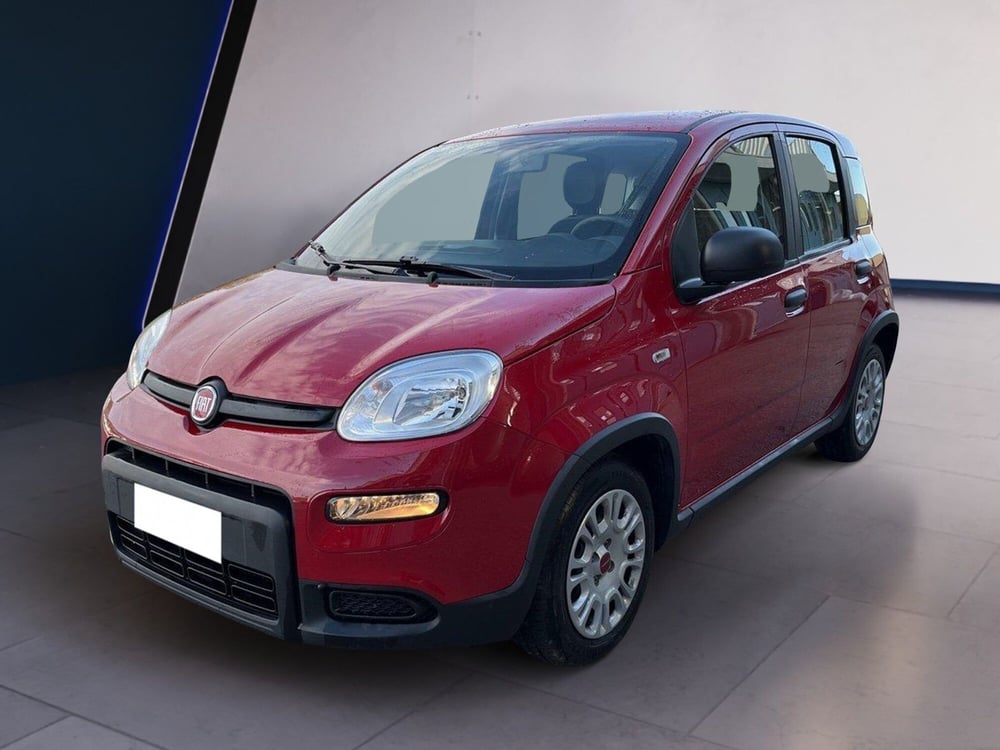 Fiat Panda usata a Torino (2)