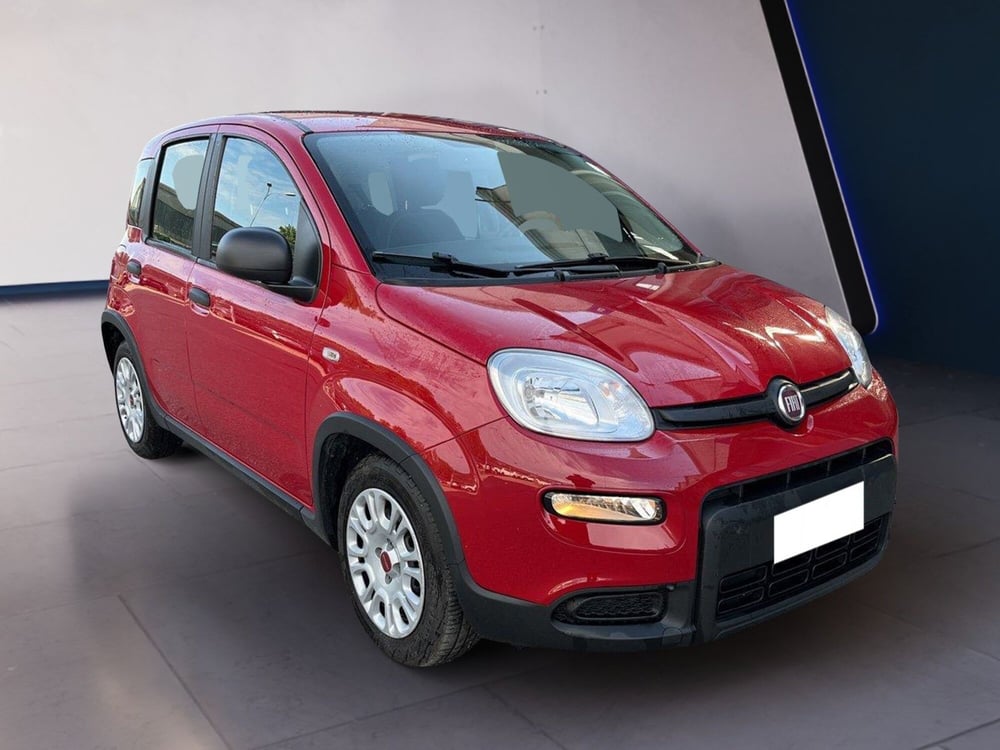 Fiat Panda usata a Torino (3)