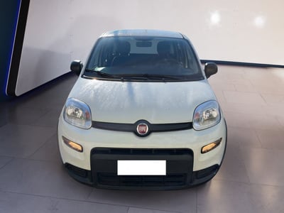 Fiat Panda 1.0 firefly hybrid s&amp;s 70cv 5p.ti del 2024 usata a Torino