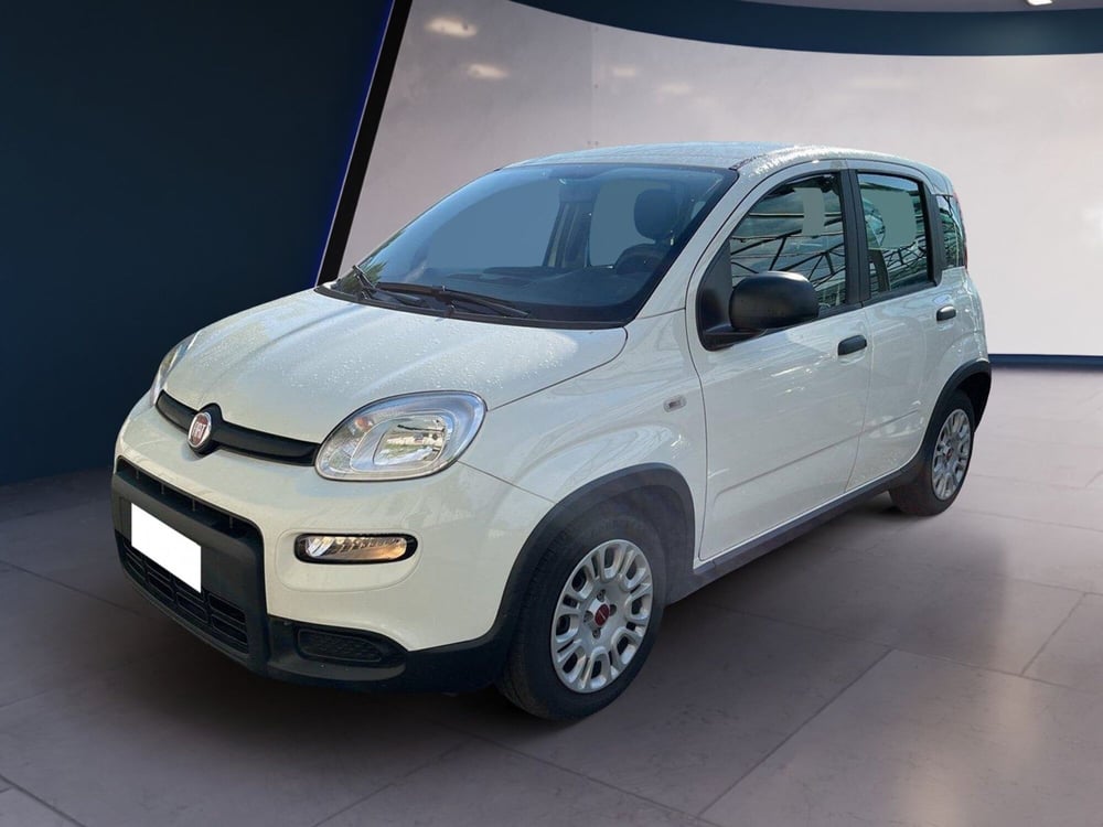 Fiat Panda usata a Torino (2)