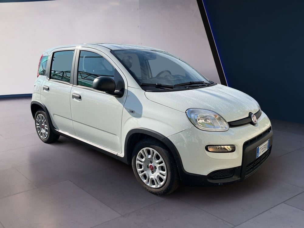 Fiat Panda usata a Torino (3)