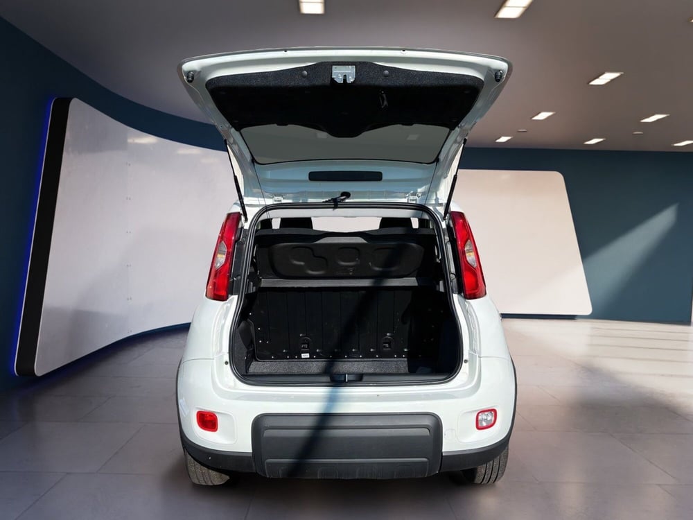 Fiat Panda usata a Torino (7)