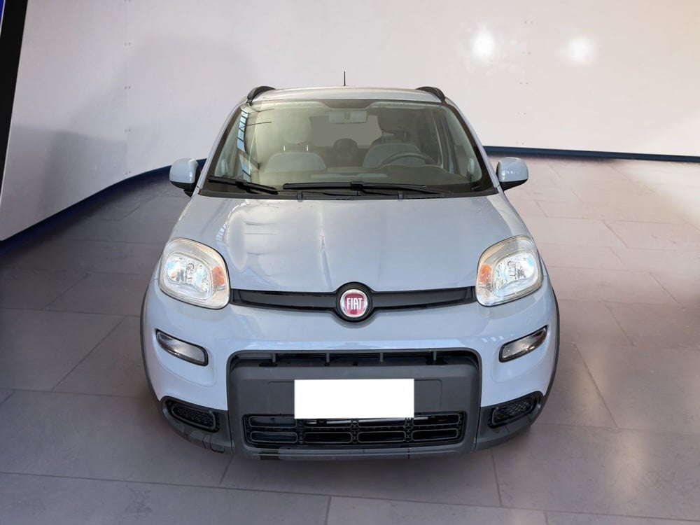 Fiat Panda usata a Torino
