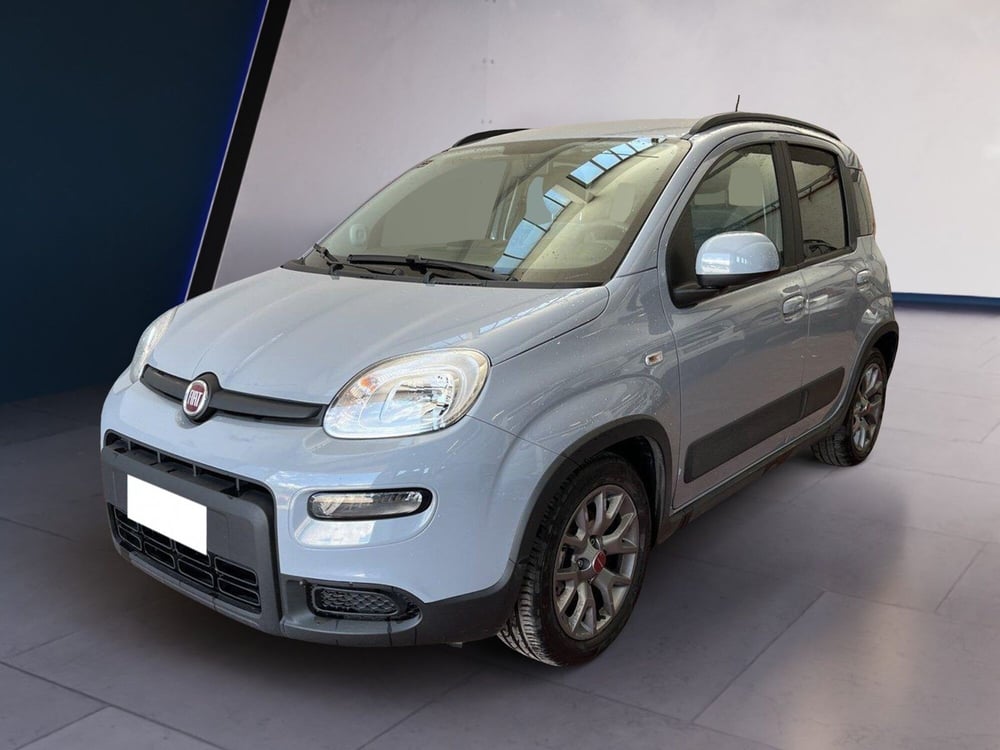 Fiat Panda usata a Torino (2)