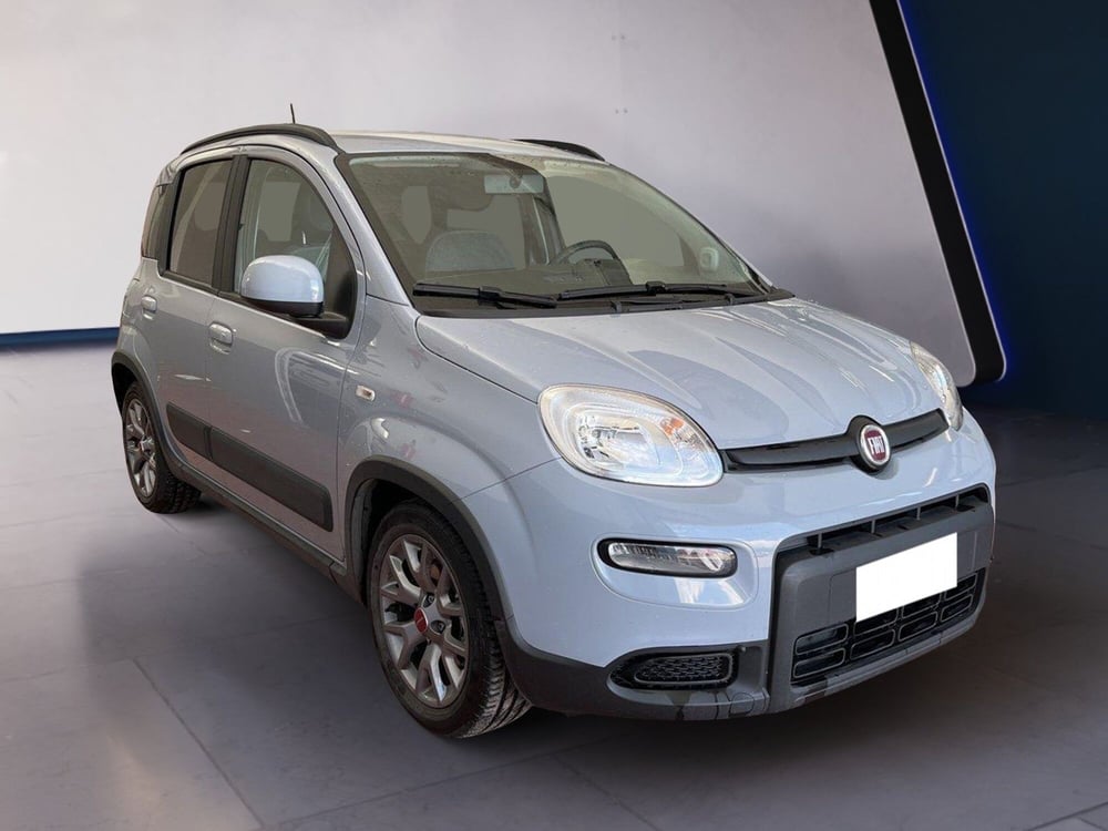 Fiat Panda usata a Torino (3)