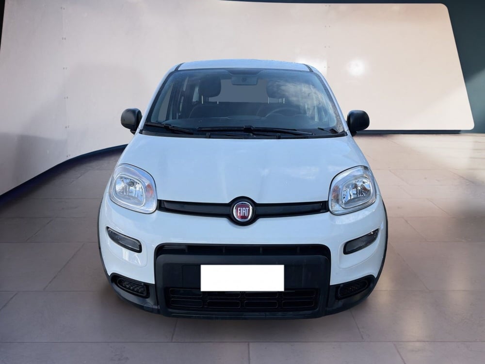 Fiat Panda usata a Torino