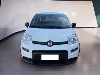 Fiat Panda 1.0 firefly hybrid s&amp;s 70cv 5p.ti del 2024 usata a Torino