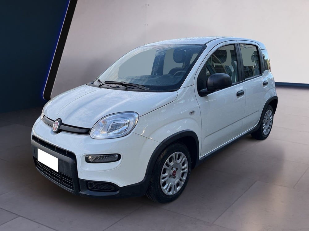 Fiat Panda usata a Torino (2)