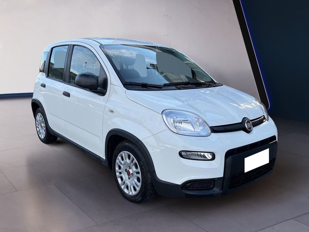 Fiat Panda usata a Torino (3)