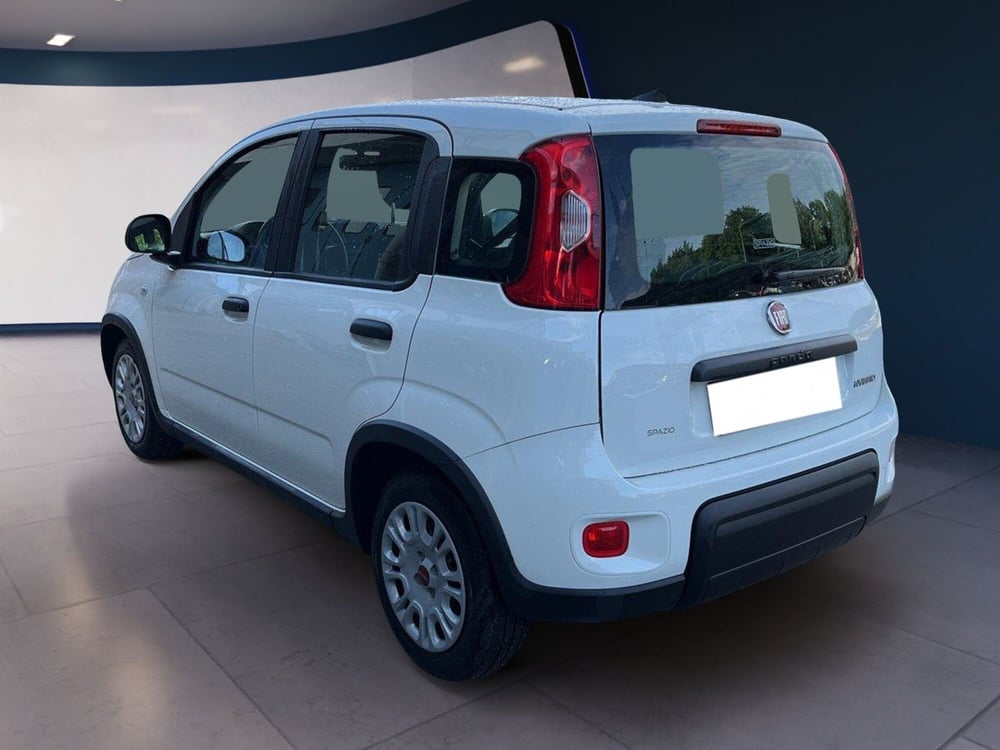 Fiat Panda usata a Torino (5)