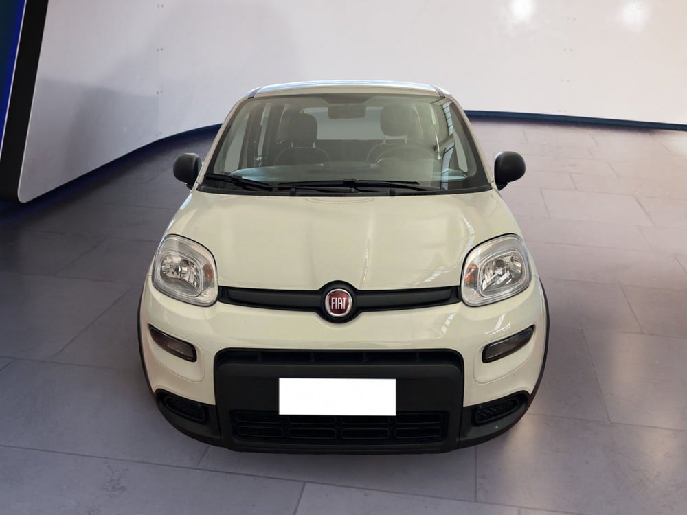 Fiat Panda usata a Torino