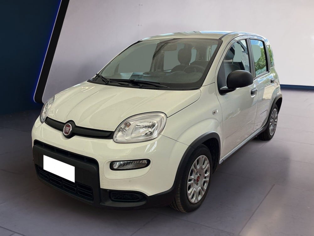 Fiat Panda usata a Torino (2)