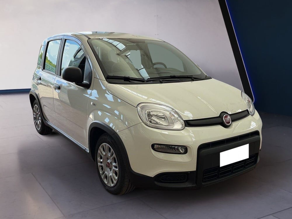 Fiat Panda usata a Torino (3)