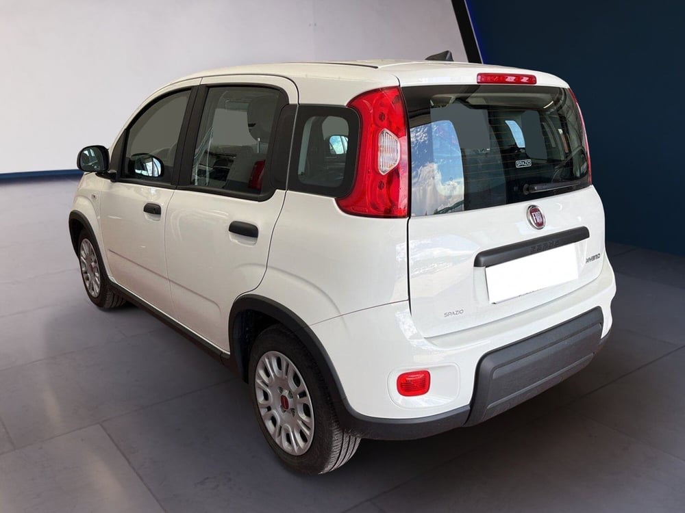 Fiat Panda usata a Torino (5)