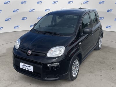 Fiat Panda Cross Cross 1.0 FireFly S&amp;S Hybrid del 2024 usata a Pistoia