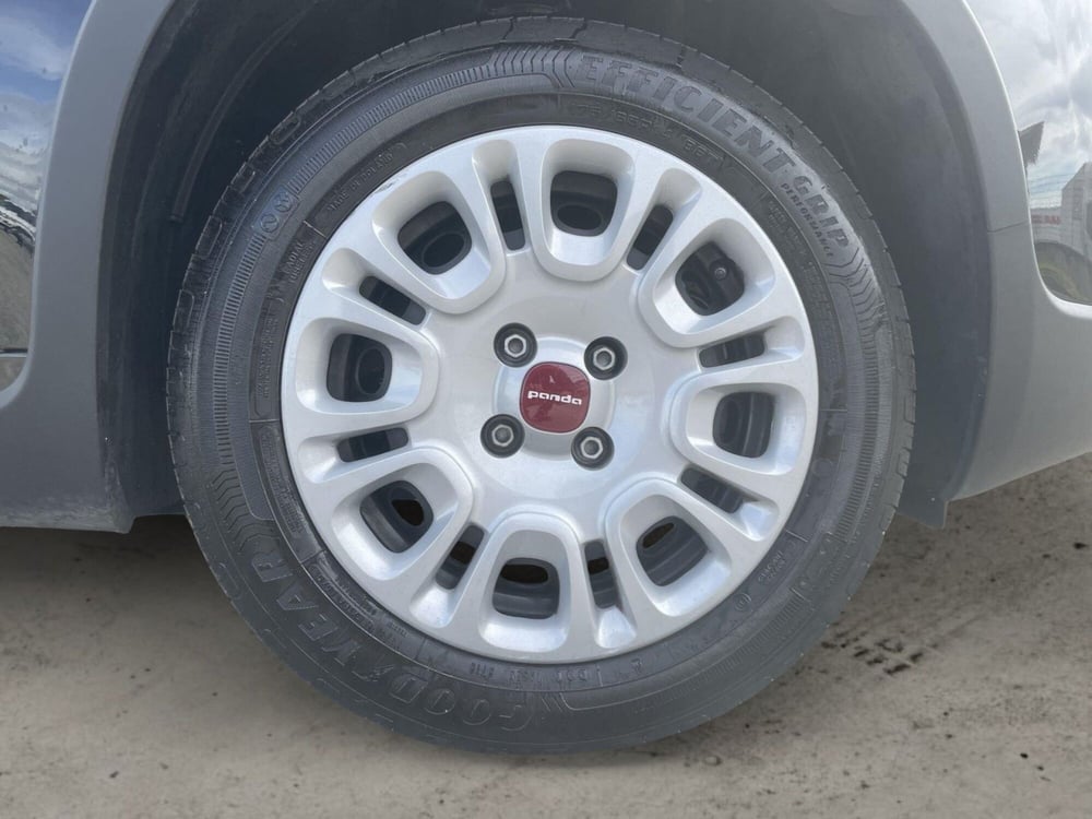 Fiat Panda Cross usata a Pistoia (15)