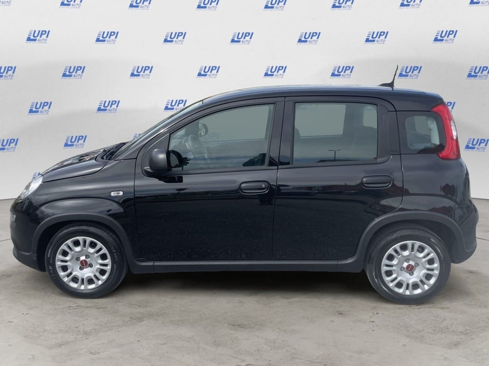 Fiat Panda Cross usata a Pistoia (2)