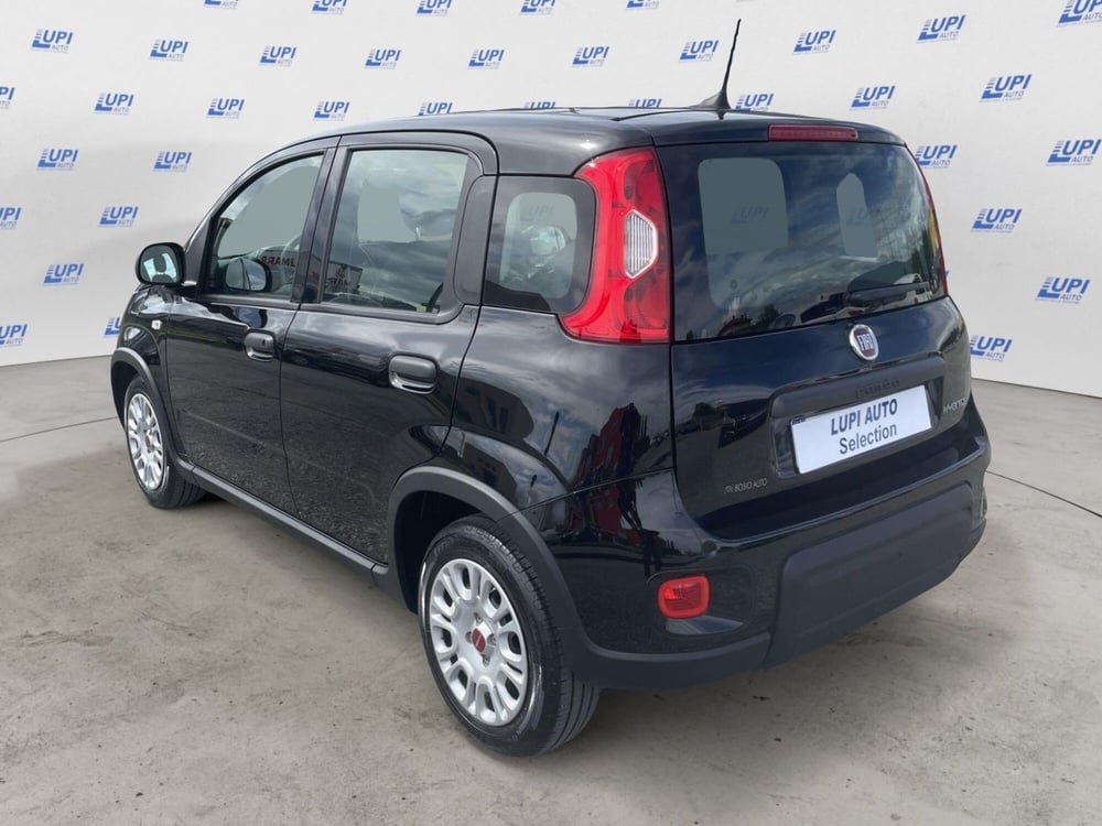 Fiat Panda Cross usata a Pistoia (3)