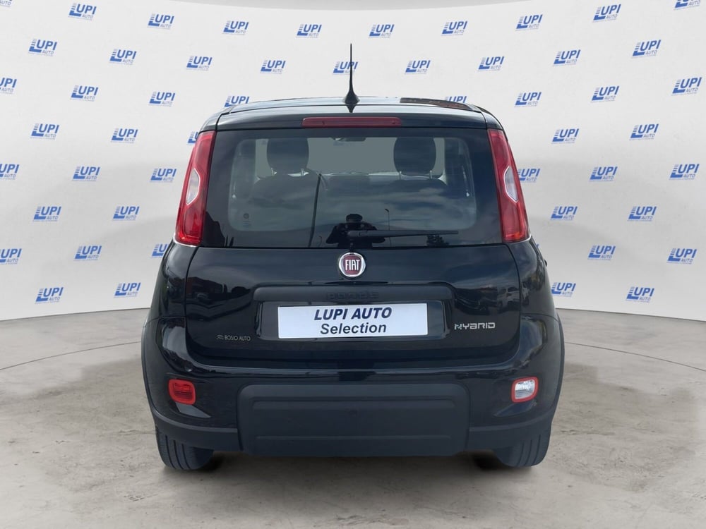 Fiat Panda Cross usata a Pistoia (4)