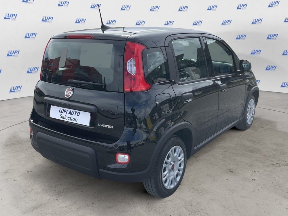 Fiat Panda Cross usata a Pistoia (5)