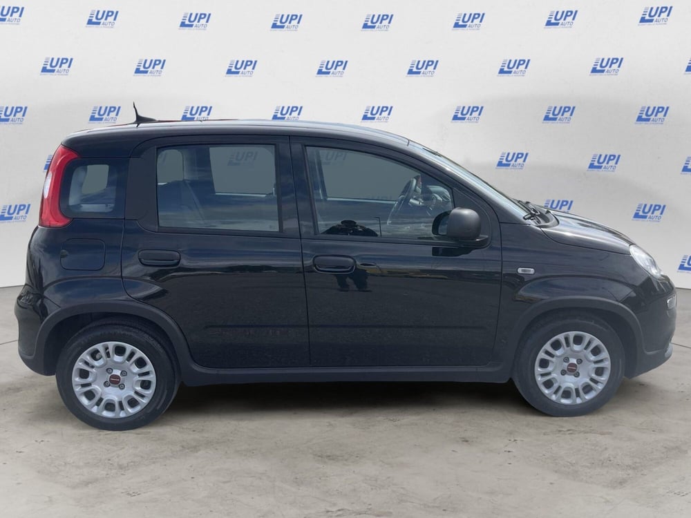 Fiat Panda Cross usata a Pistoia (6)