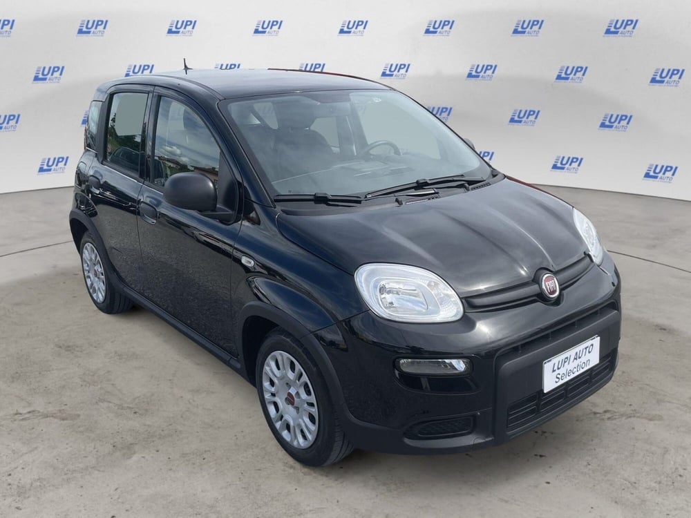 Fiat Panda Cross usata a Pistoia (7)