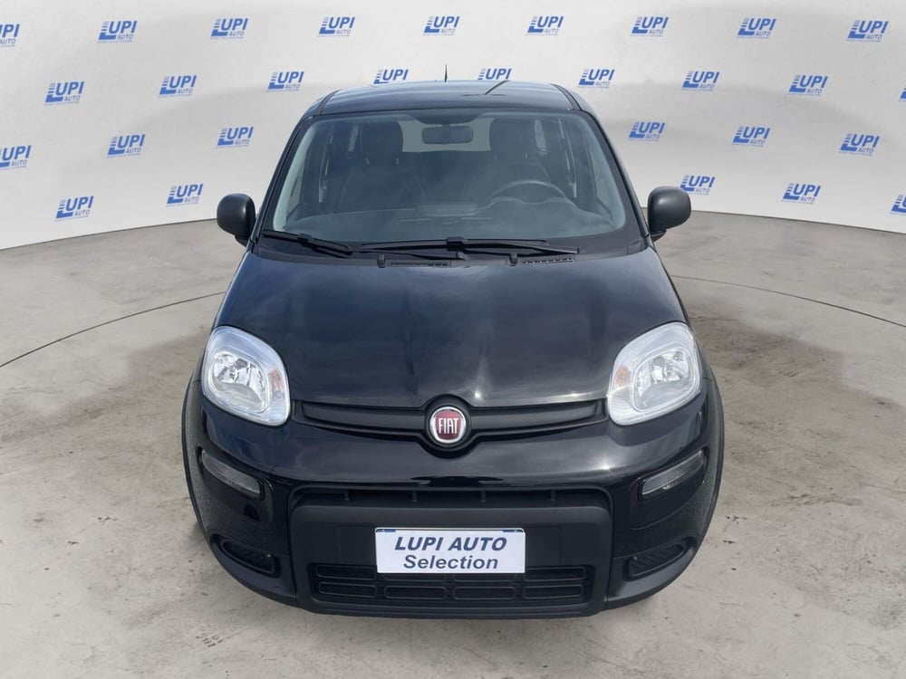 Fiat Panda Cross usata a Pistoia (8)
