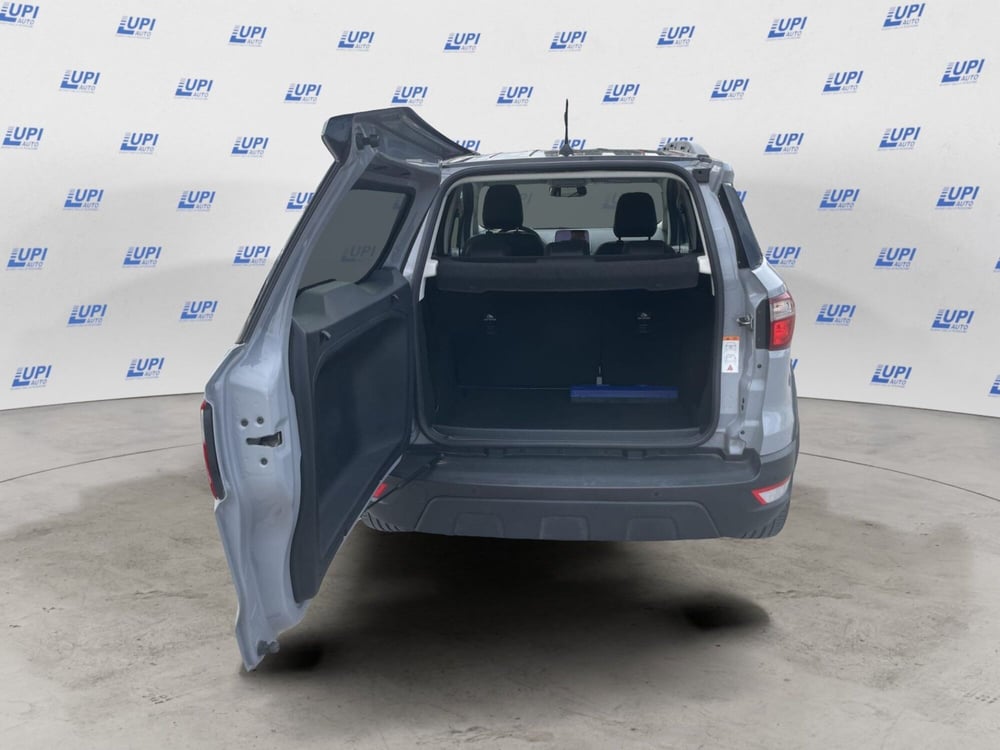 Ford EcoSport usata a Pistoia (13)
