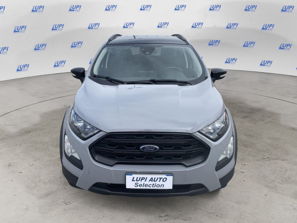 Ford EcoSport usata a Pistoia (8)