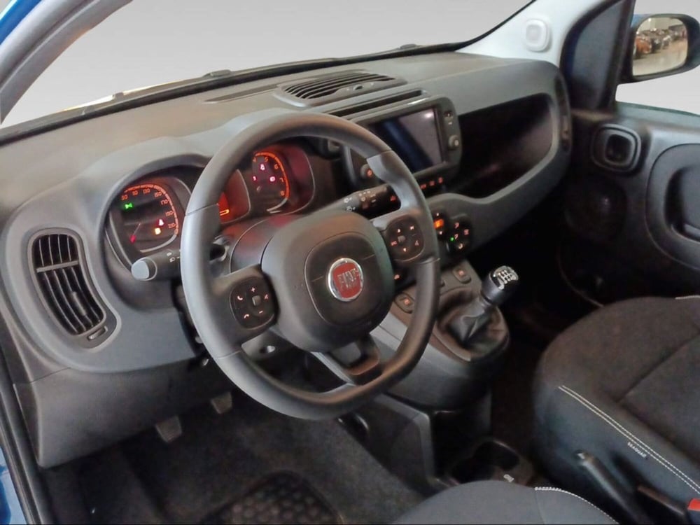 Fiat Panda Cross usata a Firenze (9)