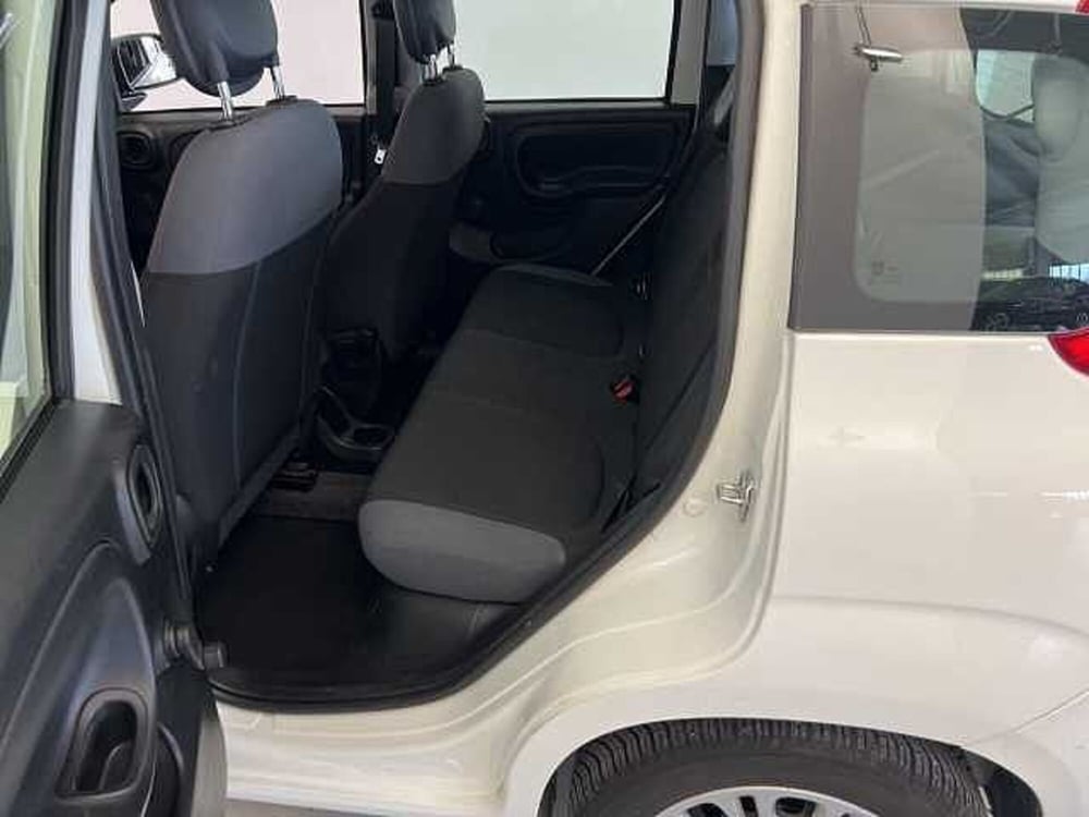 Fiat Panda usata a Forlì-Cesena (12)