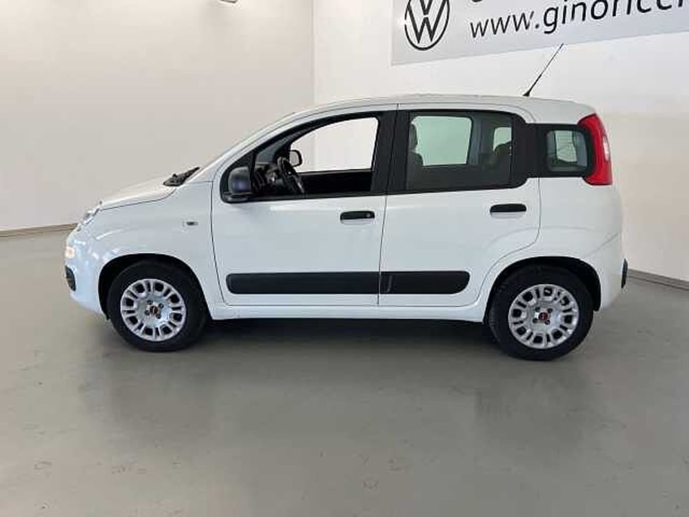 Fiat Panda usata a Forlì-Cesena (3)