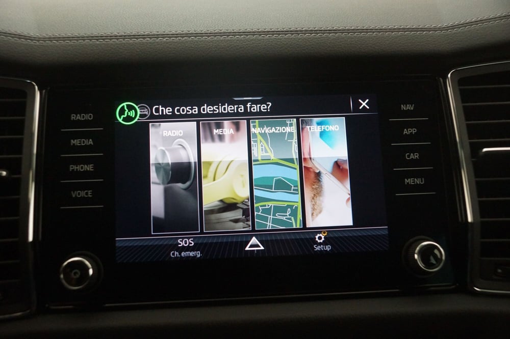 Skoda Kodiaq usata a Torino (15)