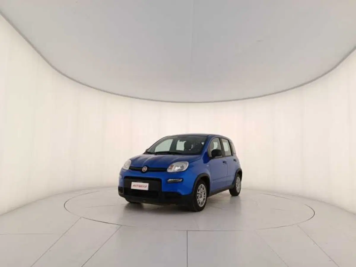Fiat Panda usata a Treviso