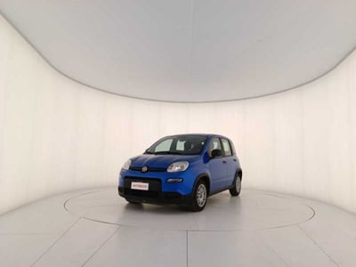 Fiat Panda 1.0 firefly hybrid s&amp;s 70cv 5p.ti del 2023 usata a Treviso