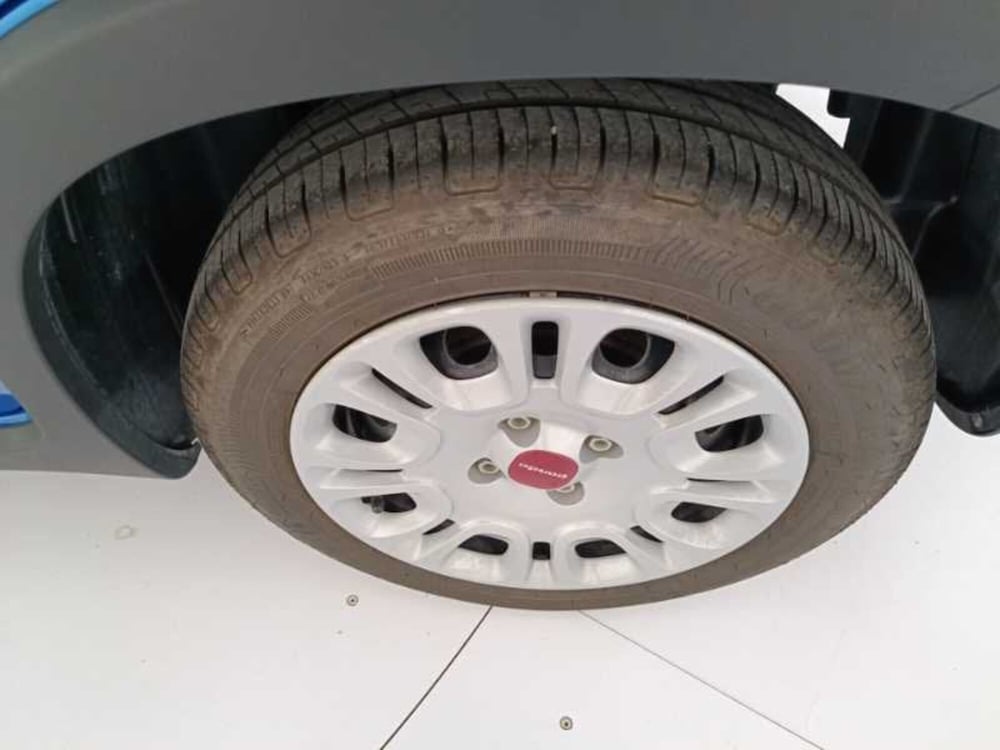 Fiat Panda usata a Treviso (19)