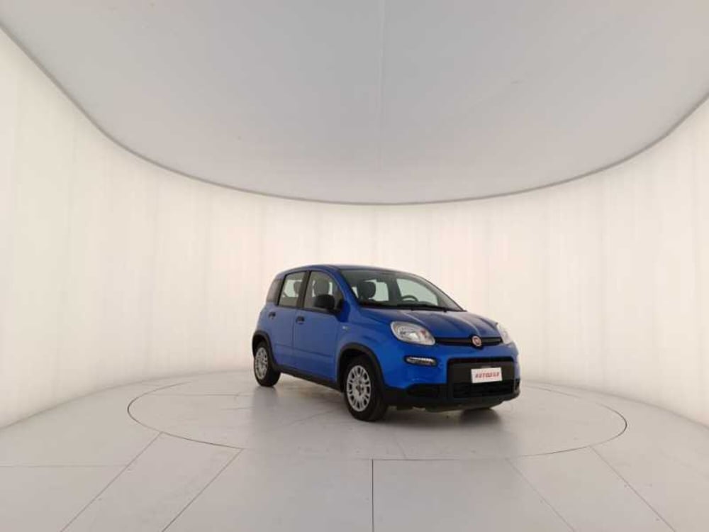 Fiat Panda usata a Treviso (3)