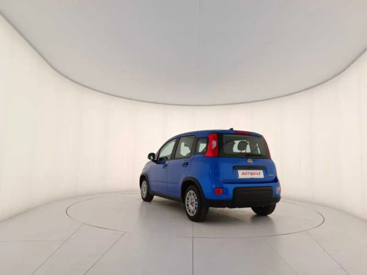 Fiat Panda usata a Treviso (4)
