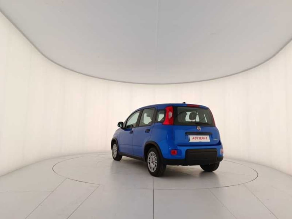 Fiat Panda usata a Treviso (4)
