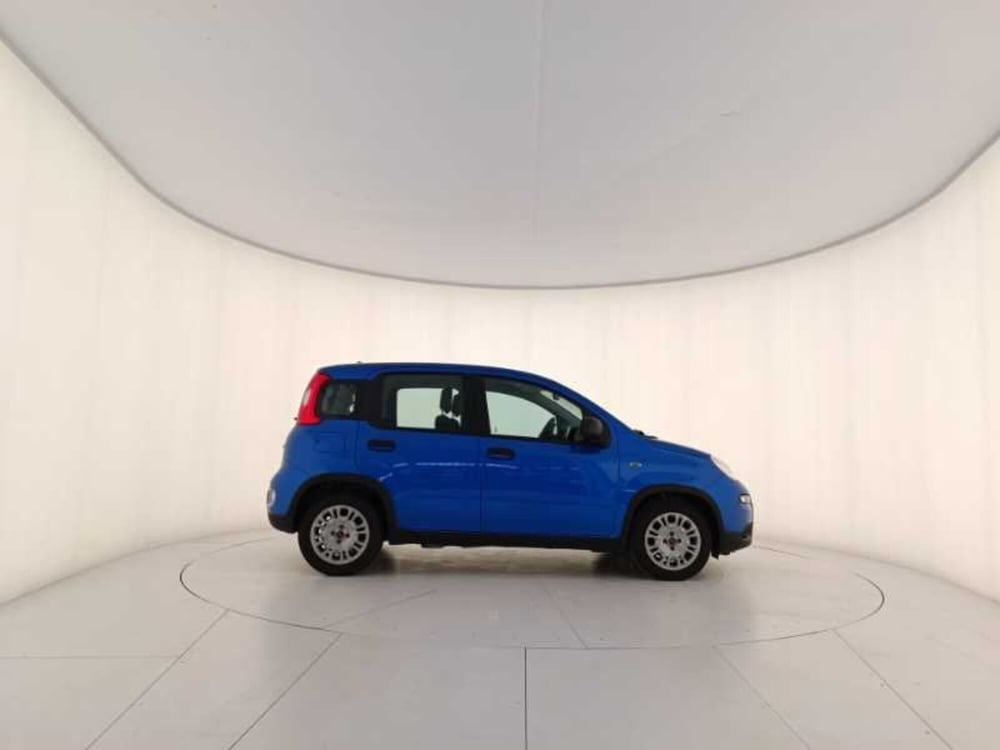 Fiat Panda usata a Treviso (7)