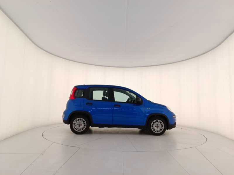 Fiat Panda usata a Treviso (7)