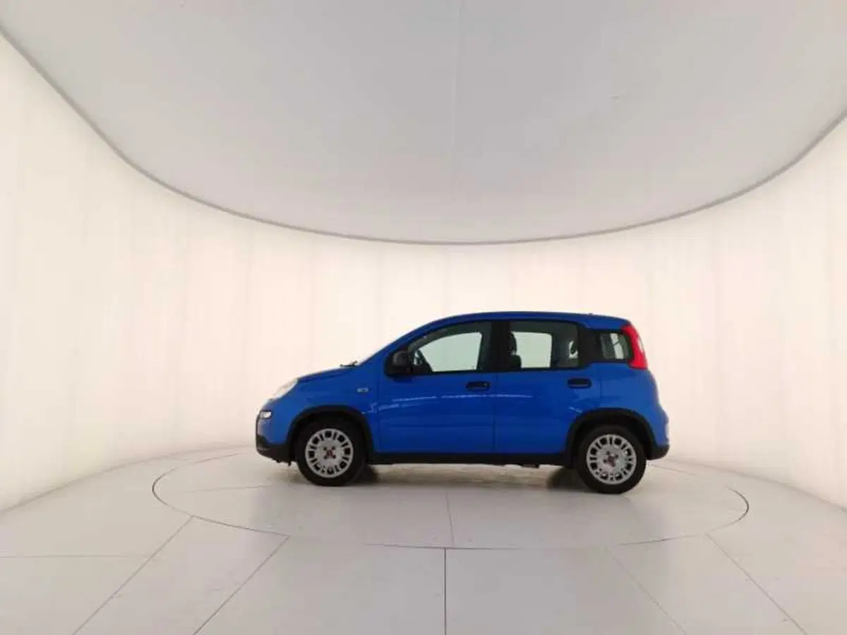 Fiat Panda usata a Treviso (8)