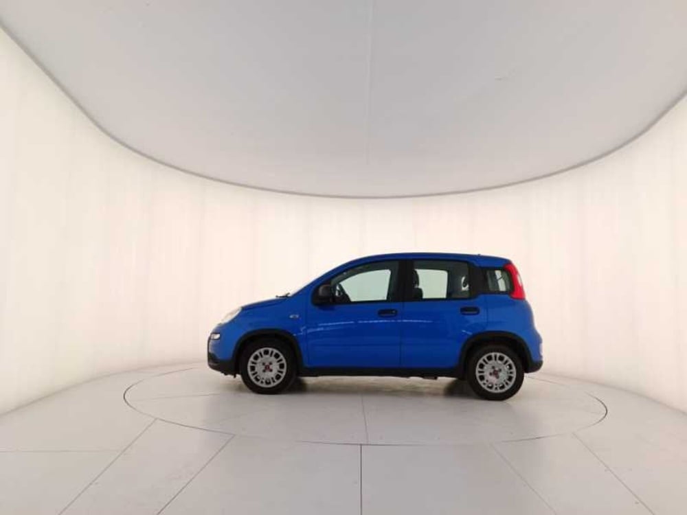 Fiat Panda usata a Treviso (8)