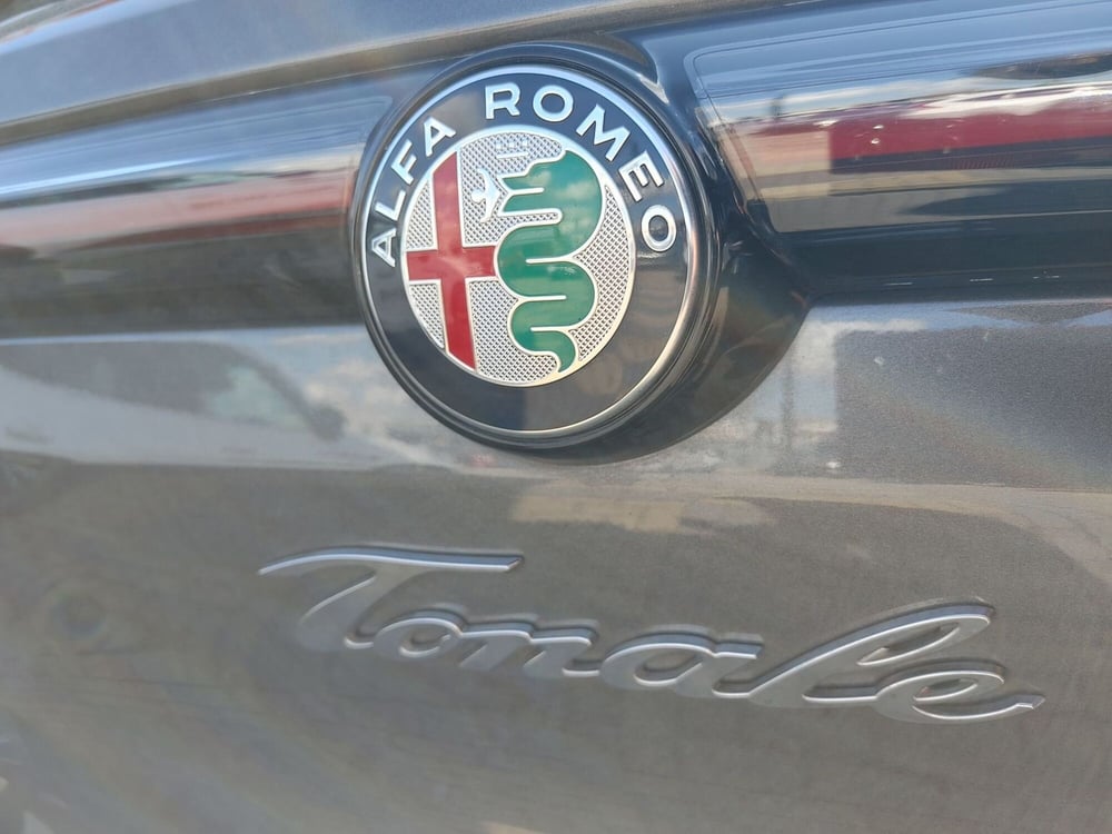 Alfa Romeo Tonale usata a Vercelli (20)